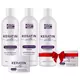 KERATIN SILKE intensiv effekt restaureringsset för skadad hårstruktur + Det andra setet GRATIS!